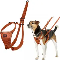 Halti Harness No Pull træningssele - orange: størrelse XS, z.B. Chihuahua