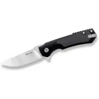 Buck Stinger Framelock Black