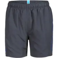 Arena Badeshorts 'Fundamentals Logo Boxer' grå