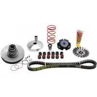 MALOSSI Minarelli Aerox 50 Variatorkit