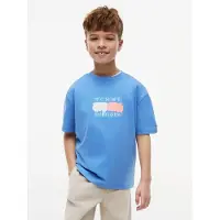 Tommy Hilfiger Shirts 'Flag Graffiti' blå / melon / hvid