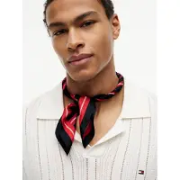 Tommy Hilfiger Sjal blå / navy / rød