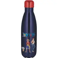 Stor One Piece Metalliske Flaskekarakterer 780ml