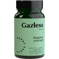 Great Earth Gazless 60 tabletter