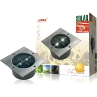 Ranex RA-5000198, Udendørs jordbelysning, Rustfrit stål, IP67, Have, 1 pære(r ), LED