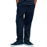 Quiksilver - Mærker - Taxer Cord Pant Youth Dark Navy til UnisexBomuld - Børnetoj Størrelse 14 År Gammel - Flåde