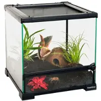 HabiStat Glas Terrarium Gennemsigtigt
