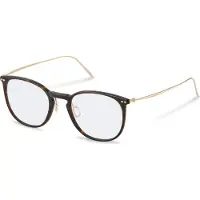 Rodenstock R7136 Pantos Briller