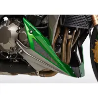 Bodystyle BUGSPOILER ** FZS 1000 FAZER ULAK.