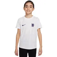 Nike Chelsea Trænings T-Shirt Dri-FIT Academy Pro Pre Match - Hvid/Grå/Blå Børn - , størrelse L: 147-158 cm