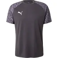 Puma Funktionsskjorte 'TeamLIGA26' lysegrå / sort / hvid