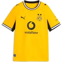 Puma Bvb Borussia Dortmund Replica Hjem Junior T-shirt Med Korte ærmer