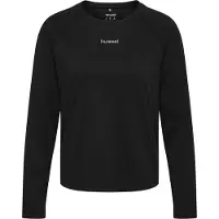 Hummel Funktionsbluse 'Momentum' grå / sort