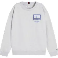 Tommy Hilfiger Sweatshirt blå / grå-meleret