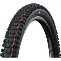 Schwalbe Albert Gravity Pro Soft Radial Tubeless 2026 29´´ X 2.60 Mtb-dæk