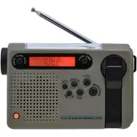 BEA Btec-rds900 Bærbar Radio