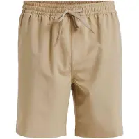 Quiksilver Badeshorts 'TAXER AM' mørkebeige