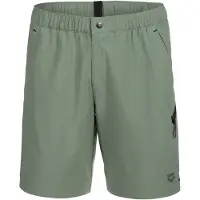 Arena Badeshorts 'EVO WALKING BERMUDA' grøn