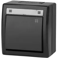 Elektro-Plast ELEKTROPLAST AQUANT 2K krydskobling til indmuring IP55 antracit 5006-17