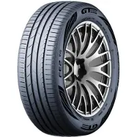 GT Radial FE2 Evo