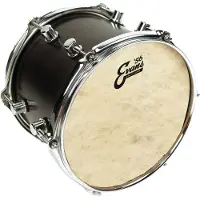 Evans 56 Calftone 13 Drum head