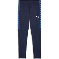Puma Sportsbukser 'TeamLiga26' navy / royalblå / mørkeblå / hvid
