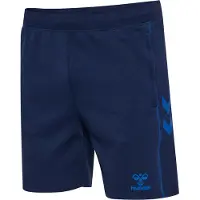 Hummel Sportsbukser 'Move 2.0' blå / marin