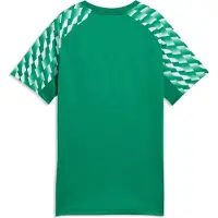 Puma Trænings T-Shirt teamLIGA26 - Grøn/Hvid Børn, størrelse 152 cm