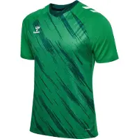 Hummel Spilletrøje Match Triumph - Grøn/Grøn, størrelse X-Large