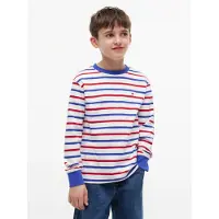 Tommy Hilfiger Shirts 'Essential Stripe Relaxed Long Sleeve' blå / rød / hvid