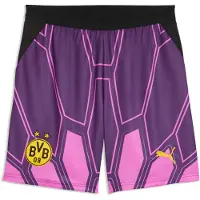 Puma Borussia Dortmund 26/27 Torwartshorts, størrelse Large