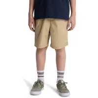 Quiksilver Taxer Shorts