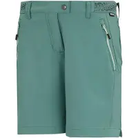 Regatta Mountain Ii Shorts