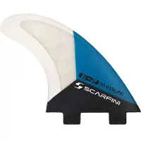 Scarfini Fcs1 Equilibrium Surffinne