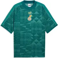 Puma Ghana Fodboldtrøje King - Grøn - , størrelse Large