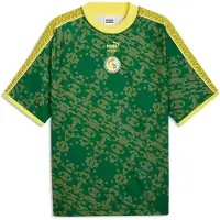 Puma Senegal Fodboldtrøje King - Grøn/Lime - , størrelse Large