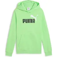 Puma Ess 2 Color Nº1 Logo Hættetrøje