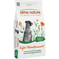Almo nature Holistic Adult lam og ris Large - Økonomipakke: 2 x 12 kg