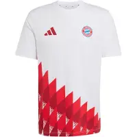 Adidas Fc Bayern Munich Anthem Graphic T-shirt Med Korte ærmer