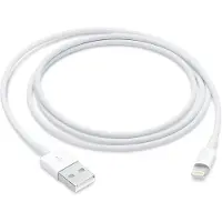 Apple Lightning to USB Cable - 1m