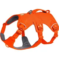Ruffwear Web Master Harness - L/XL - Blaze Orange