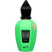 XERJOFF Duran Duran Neo Rio Gluo Green Parfume 50 ml