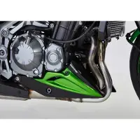 Bodystyle BUGSPOILER ** Z900 24- SORT
