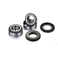 DMS Wbe-e-040 6302-2rs 15x42x13mm Leje 5 Enheder