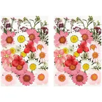 ISTOVO 72 PCS Real Dried Pressed Flowers Leaves Petals for DIY Candle Resin Jewelry Nail Pendant Crafts Making Art Decor-