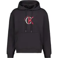 Calvin Klein Jeans Eu 350 Terry Graphic Hættetrøje