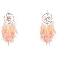 Exogio 2X Dream Catcher Hanging Ornament Decor Handmade LED Lights Feather Healing Crystals Dreamcatchers for Home Wall Decor