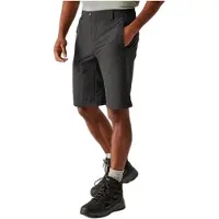 Regatta Highton Ii Shorts