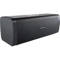 DOCKIN D Fine Evo Bluetooth-højttaler
