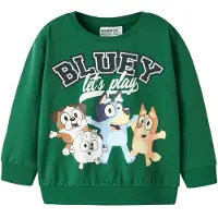 Name it Sweatshirt 'NMMJUST BLUEY' navy / lyseblå / grøn / hvid
